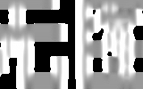 朝陽武術協(xié)會舉辦“以武會友，相聚朝陽”主題表演活動